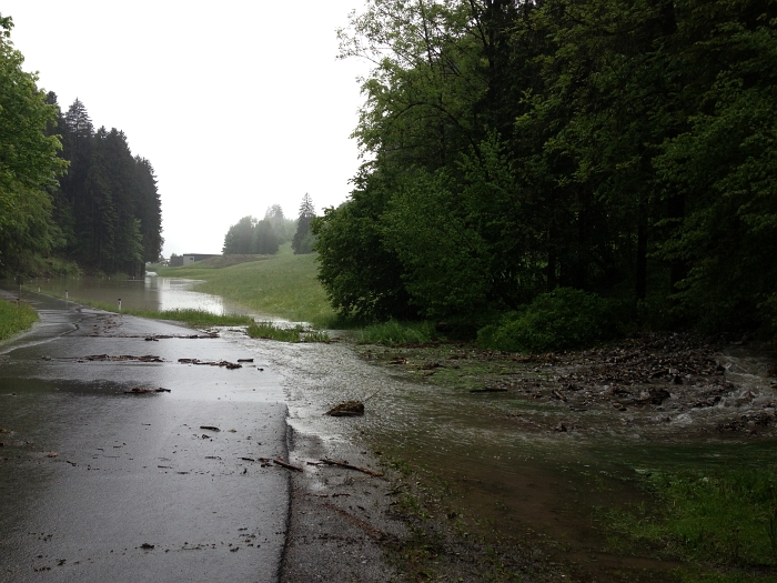 bild (18)